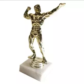 díj - Body fitness