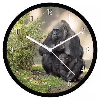Gorillák falióra