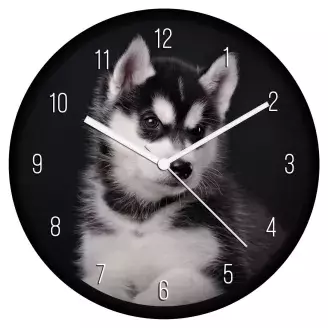Husky falióra