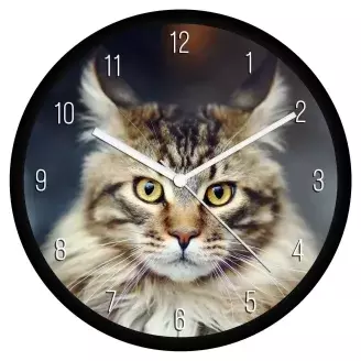 Tarka Maine Coon cica falióra