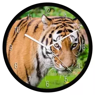 Tigris falióra