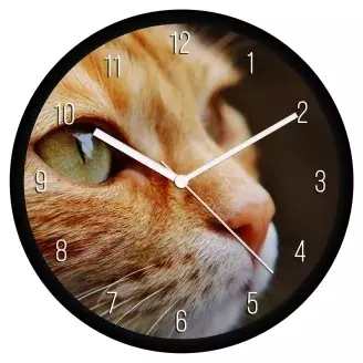 Vörös cica pofi falióra