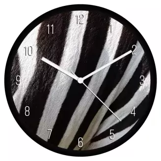 Zebra minta falióra