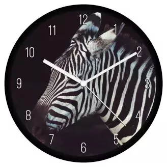 Zebra falióra