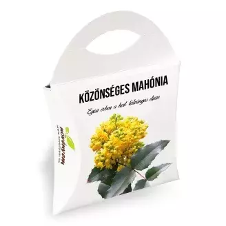 Közönséges Mahónia díszdobozban