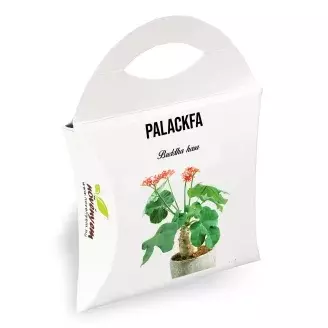 Palackfa magok díszdobozban