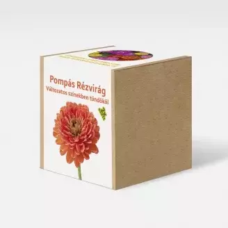Pompás rézvirág  növény nevelő szett