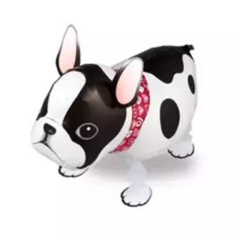 Sétáló lufi - Bulldog