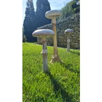 Beton gomba-csiperke-xl