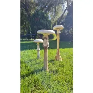 Beton gomba-csiperke-xxl