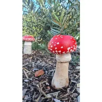 Beton gomba – légyölő galóca – nagy