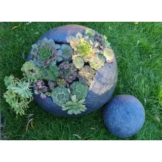 Gömb kaspó nagy XL -ültetve