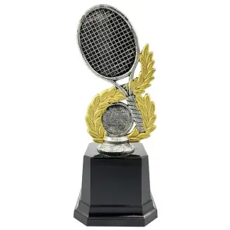 Díj - A legjobb teniszező