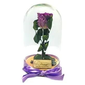 Örökózsa üvegbúrában - Akáclila