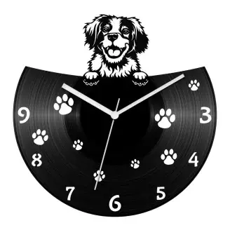 Breton spániel bakelit óra