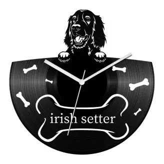 Ír szetter bakelit óra