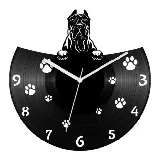 Kanári-szigeteki kutya bakelit óra