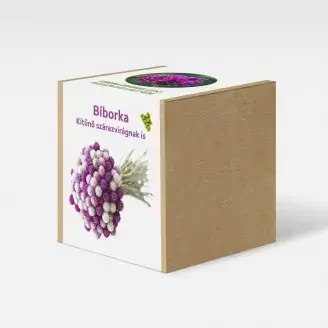 Bíborka növény nevelő szett