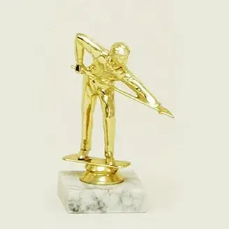 Serleg - Biliárdozó