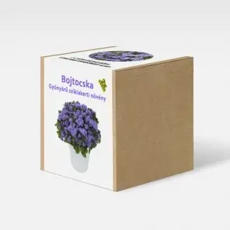 Bojtocska növény nevelő szett