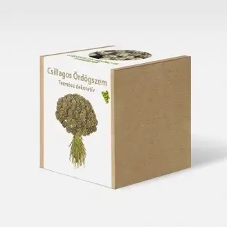 Csillagos ördögszem növény nevelő szett