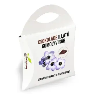 Csokoládé illatú gomolyvirág magok díszdobozban