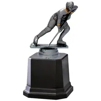 Díj - A legjobb hokis