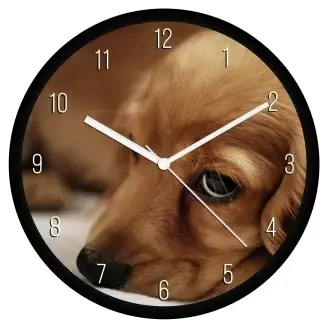 Kölyök spániel falióra