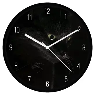 Fekete cica falióra