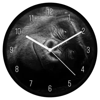 Gorilla bébi falióra