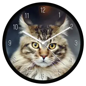 Tarka Maine Coon cica falióra