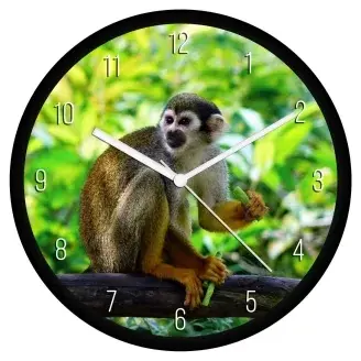Mókusmajom falióra