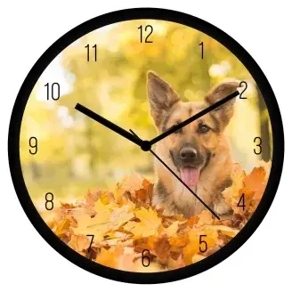 Német juhász falevelekben falióra