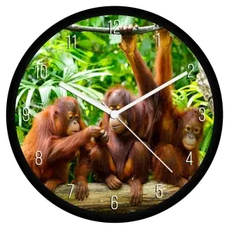 Orángutánok falióra