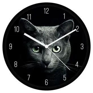 Szürke cica 1 falióra