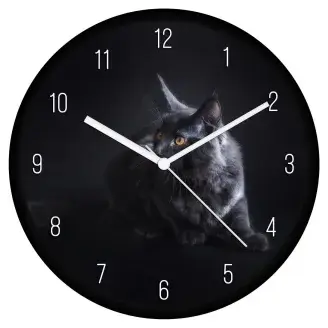 Szürke cica 2 falióra