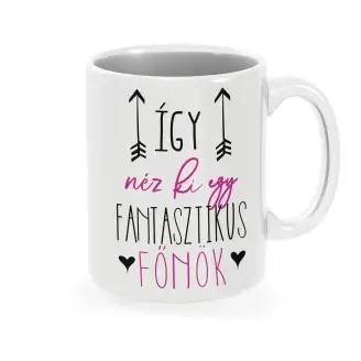 Bögre - Így néz ki egy fantasztikus Főnök