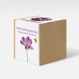 Kerti pillangóvirág növény nevelő szett