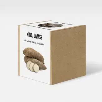 Kínai jamsz növény nevelő szett