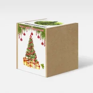 Koreai jegenyefenyő - karácsonyfa nevelő szett