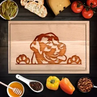 Labrador retriever - kicsi