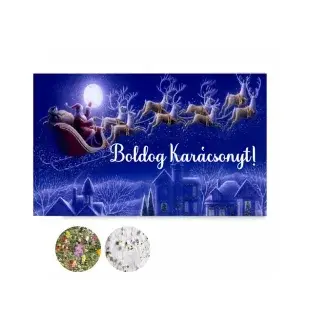 Üdvözlőlap magpapírból - Boldog Karácsonyt - Mikulás