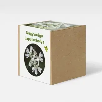 Nagyvirágú laputurbolya növény nevelő szett