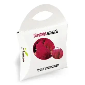 Tűzvörös gombfű magok díszdobozban