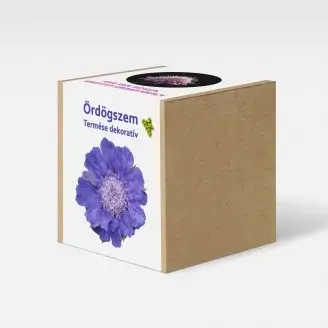 Ördögszem  növény nevelő szett