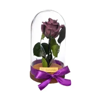 Örökrózsa üvegbúrában - Lila