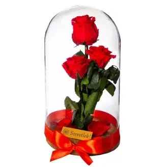 Örökrózsa üvegbúrában - Piros csokor