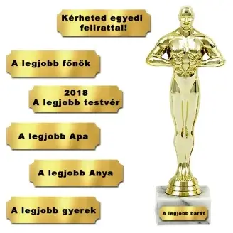 Egyedi Oscar-díj szobor - 24cm