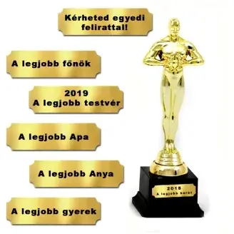 Egyedi Oscar-díj szobor - 26cm