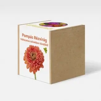 Pompás rézvirág  növény nevelő szett